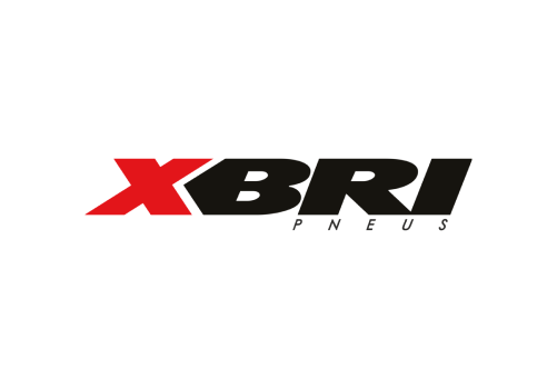 XBRI